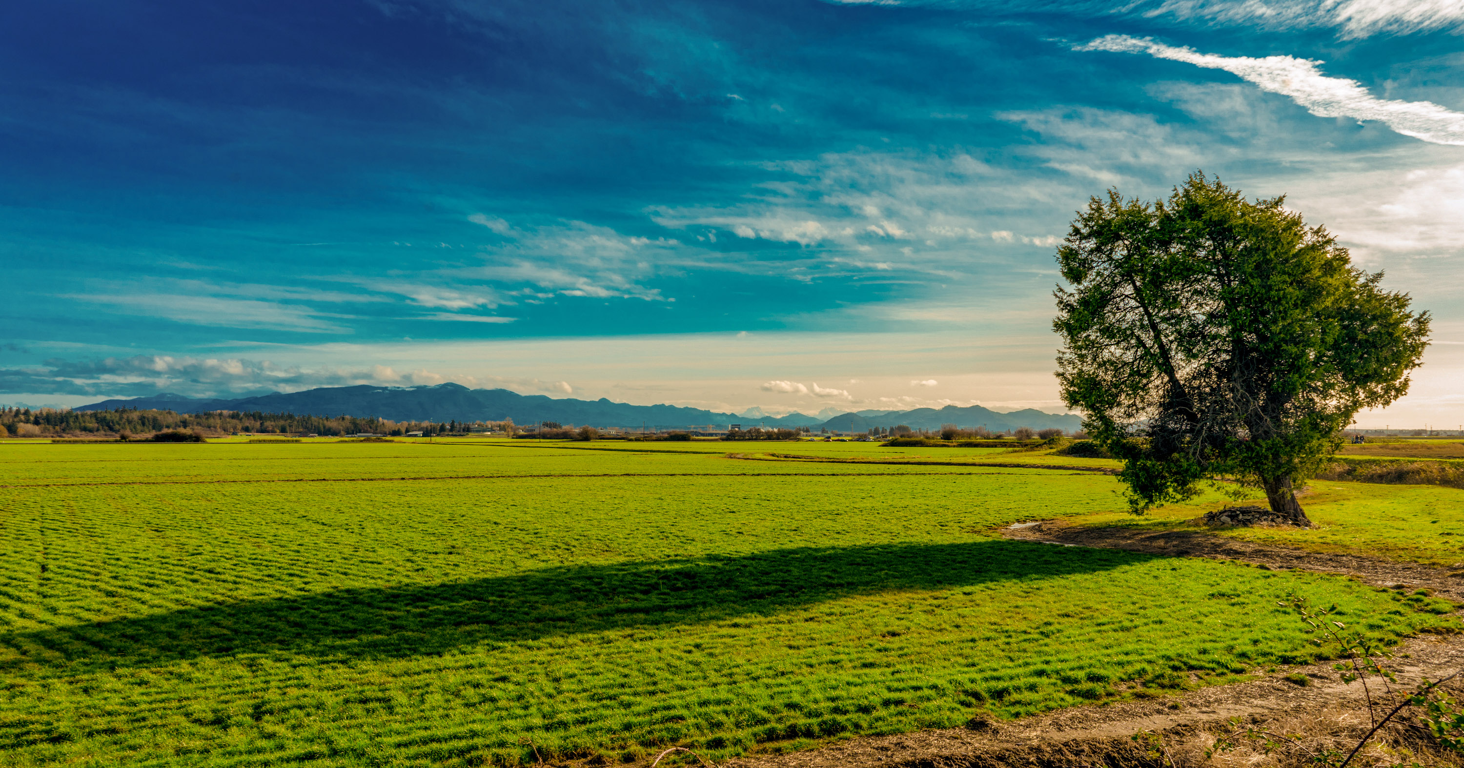 Home Windermere Real Estate / North Cascades SedroWoolley